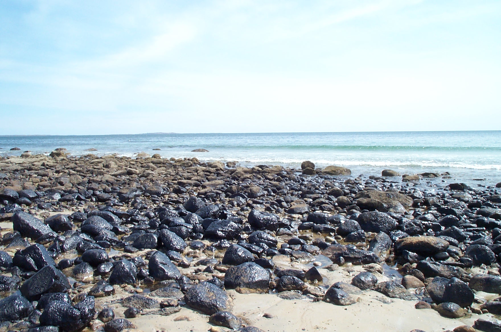 Celebrating Our Restoration Successes 20 Years after the B120